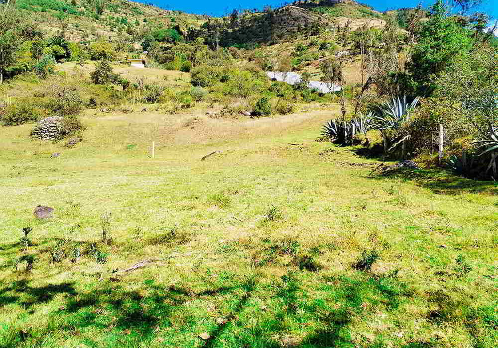 PRECIO $62000 LOTES DE 1500 METROS Y $93000 DOLARES EL LOTE DE 3000 METROS
