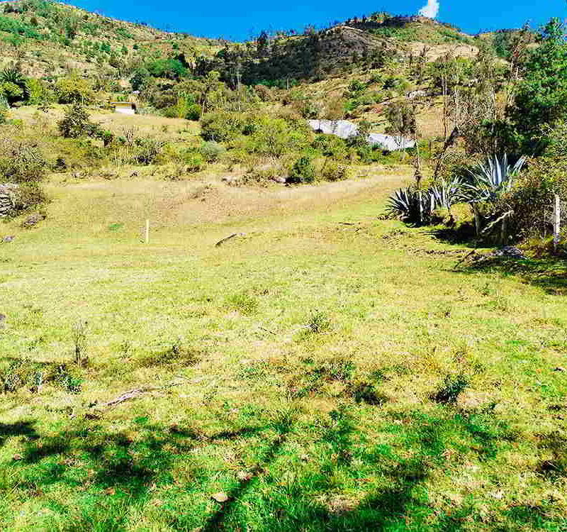 PRECIO $62000 LOTES DE 1500 METROS Y $93000 DOLARES EL LOTE DE 3000 METROS