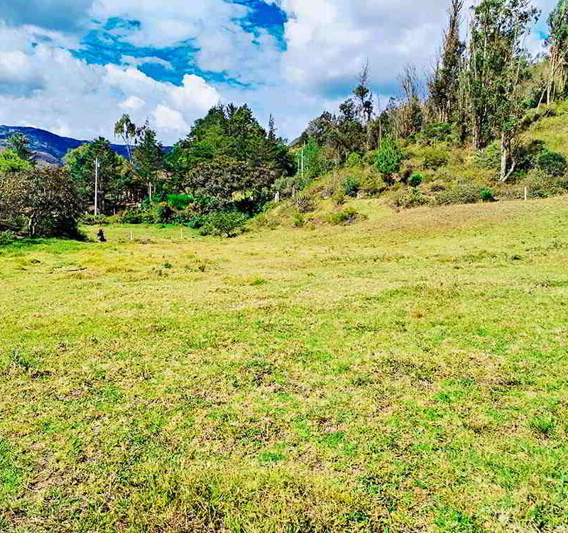 PRECIO $62000 LOTES DE 1500 METROS Y $93000 DOLARES EL LOTE DE 3000 METROS