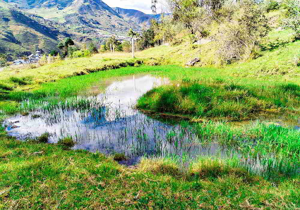 PRECIO $62000 LOTES DE 1500 METROS Y $93000 DOLARES EL LOTE DE 3000 METROS