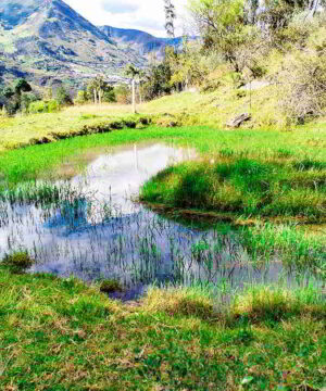PRECIO $62000 LOTES DE 1500 METROS Y $93000 DOLARES EL LOTE DE 3000 METROS