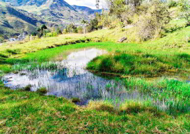 PRECIO $62000 LOTES DE 1500 METROS Y $93000 DOLARES EL LOTE DE 3000 METROS