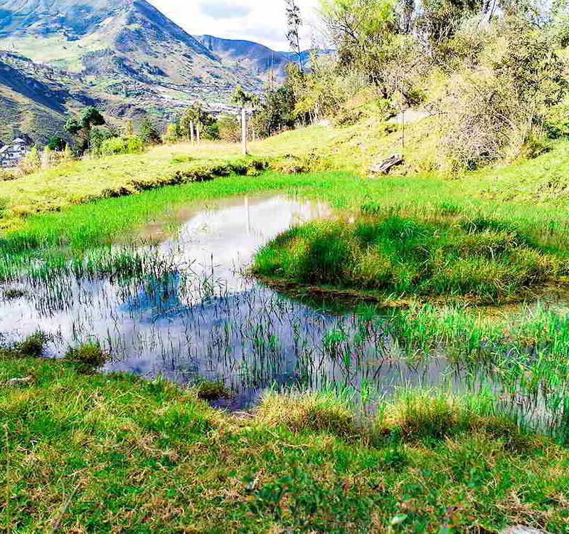 PRECIO $62000 LOTES DE 1500 METROS Y $93000 DOLARES EL LOTE DE 3000 METROS
