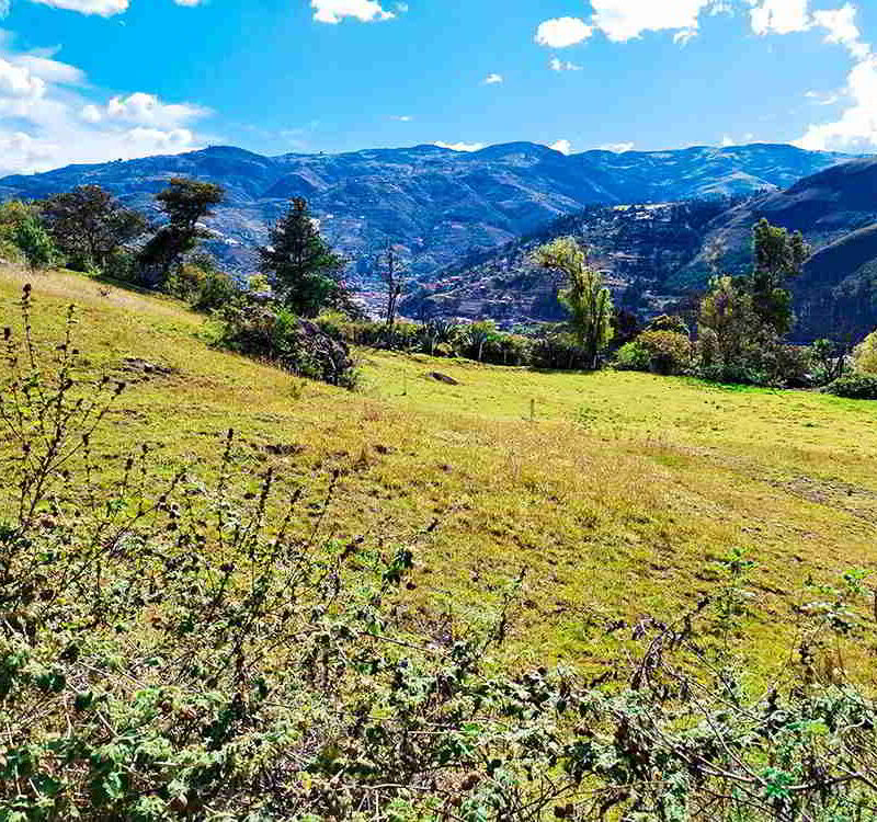 PRECIO $62000 LOTES DE 1500 METROS Y $93000 DOLARES EL LOTE DE 3000 METROS