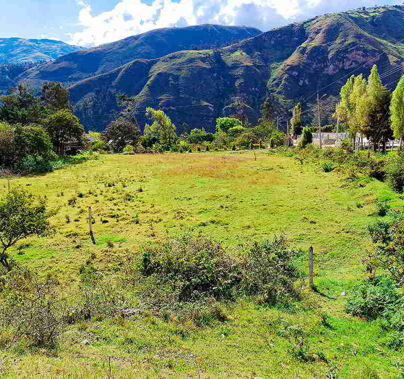 PRECIO $62000 LOTES DE 1500 METROS Y $93000 DOLARES EL LOTE DE 3000 METROS