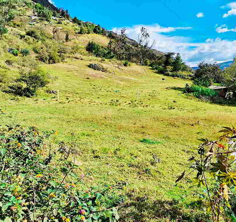 PRECIO $62000 LOTES DE 1500 METROS Y $93000 DOLARES EL LOTE DE 3000 METROS