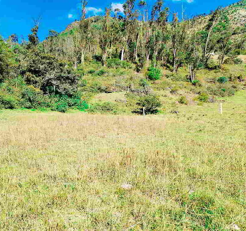 Descubre lo Mejor de Paute: Clima Cálido, Vistas Increíbles y Oportunidad de Inversión En el
corazón del exuberante Ecuador se encuentra un tesoro oculto que lo tiene todo: Paute. Pero
no cualquier parte de Paute, estamos hablando del impresionante Valle de Chicti. Aquí, la
naturaleza se une con un clima abrigado que parece no querer abandonarte, y las vistas
panorámicas son simplemente espectaculares.
